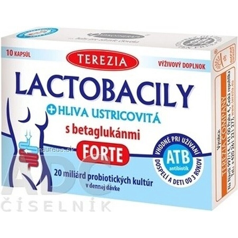 TEREZIA LACTOBACILY + USTRICOUS FUNGUS 1x10 cps, mit Beta-Glucanen FORTE