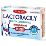 TEREZIA LACTOBACILY + USTRICOUS FUNGUS 1x10 cps, mit Beta-Glucanen FORTE