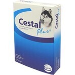 Cestal Plus kauwtabletten voor honden 1×8 tbl, gearomatiseerde parasiettabletten voor honden