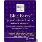 NEW NORDIC Blue Berry 1×60 tbl, food supplement