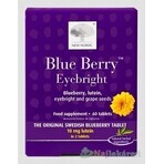 NEW NORDIC Blue Berry 1×60 tbl, food supplement