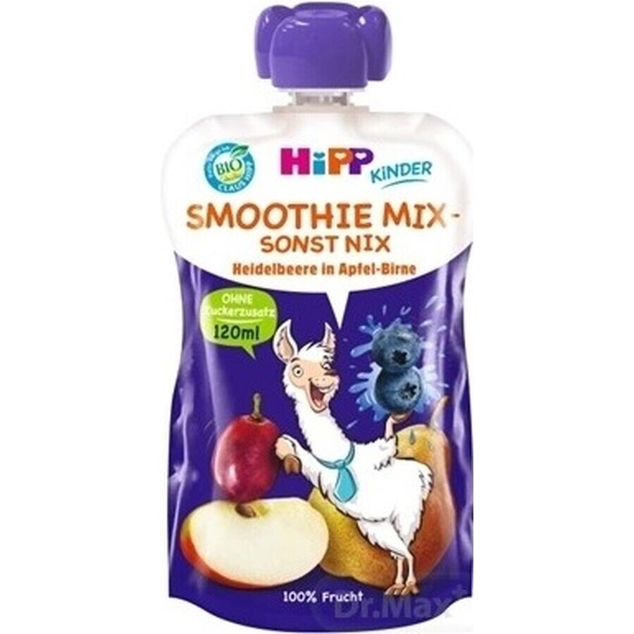 HiPP BIO Smoothie MIX Appel Peer Bosbessen 1×120 ml, fruit en groenten, 12m+