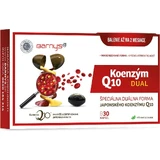 Barny's Co-enzym Q10 dual 60 mg 1×30 cps, voedingssupplement