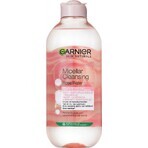 GARNIER Skin Naturals Eau micellaire 3in1 1×400 ml, eau micellaire