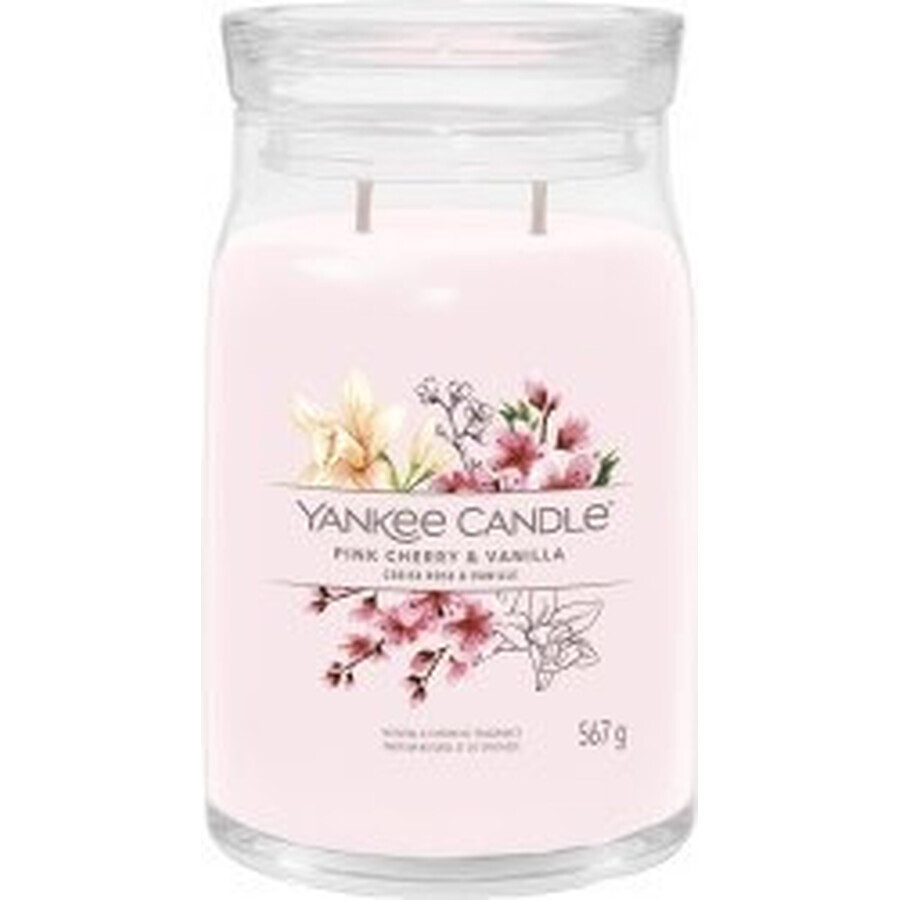 Yankee Candle Signature grote kaars Pink Cherry & Vanilla 1×567 g, geurkaars