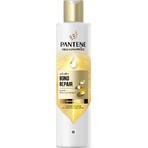 PANTENE MOLECUL.BOND REP.SHP BIOT.PRO-V 250ML 1×250 ml, șampon pentru păr deteriorat