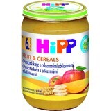 HIPP BIO Fruit porridge with wholegrain 1×190 g, starter, 6m+