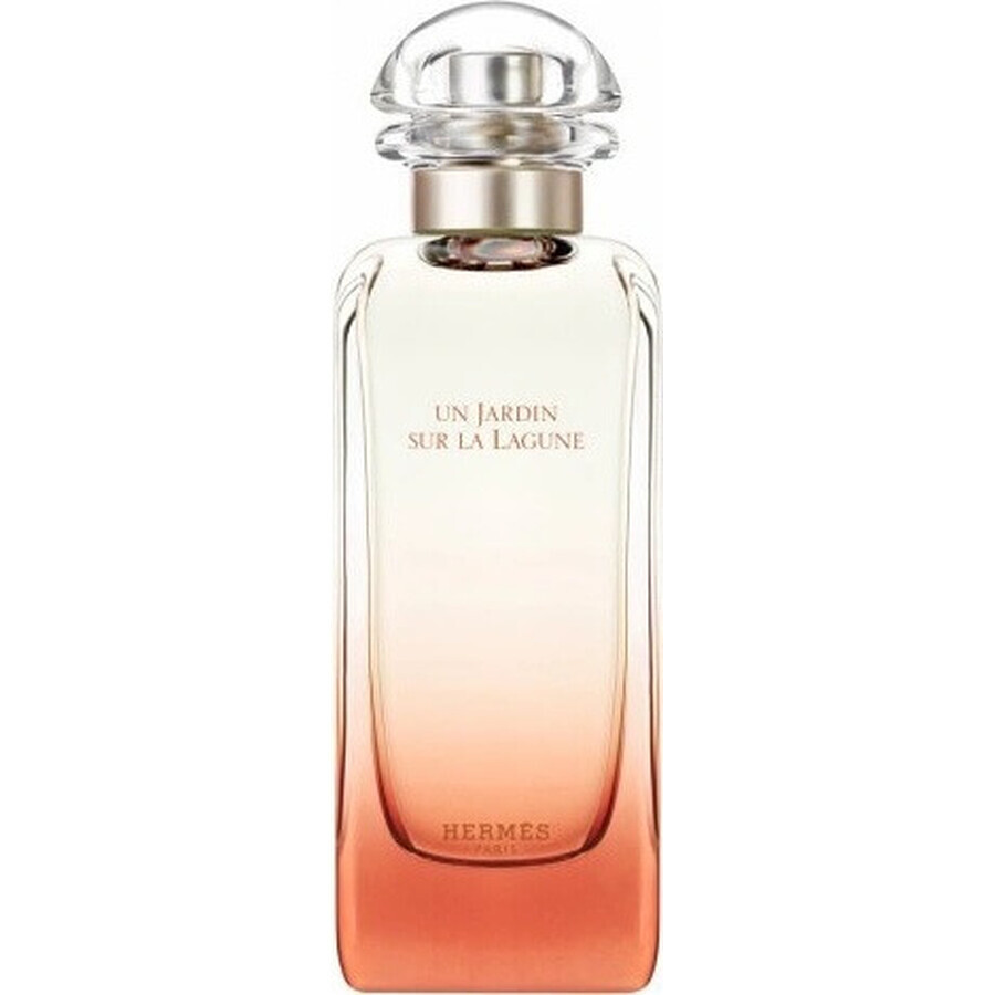 HERMES UN JARDIN SUR LA LAGUNE eau de toilette 1×100ml, eau de toilette voor dames en heren