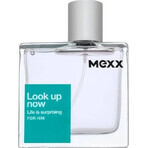 Mexx Look Up Now For Him Edt 50ml 1×50 ml, eau de toilette