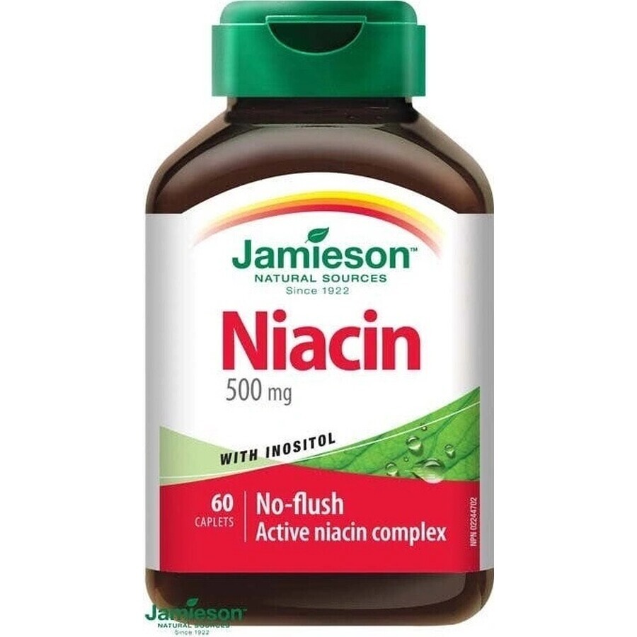 JAMIESON NIACIN 500 mg MIT INOSITOL 1×60 tbl, Niacin