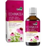 NaturProdukt ECHINACEA 1×50 ml, druppels