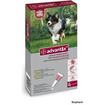 Advantix Spot-on voor honden van 10 tot 25 kg 1×2,5 ml, pipet