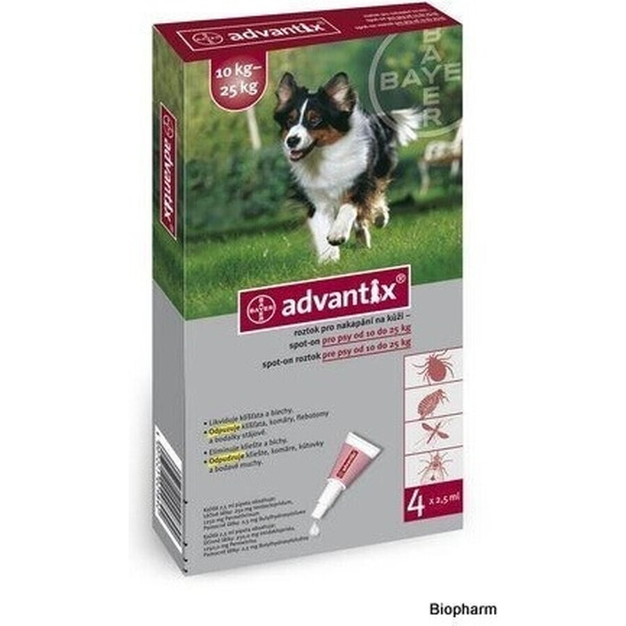 Advantix Spot-on voor honden van 10 tot 25 kg 1×2,5 ml, pipet