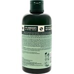 The Body Shop Conditioner for Oily Hair Tea Tree 1×250 ml, conditioner