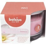 Bolsius Aromatic 2.0 Flasche 90x63mm Magnolia, Duftkerze 1×1 Stück, Duftkerze