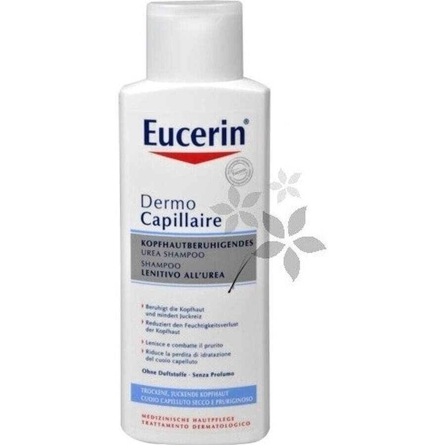 Eucerin DermoCapillaire 5% Urea Shampoo 1×250 ml für trockene Haut