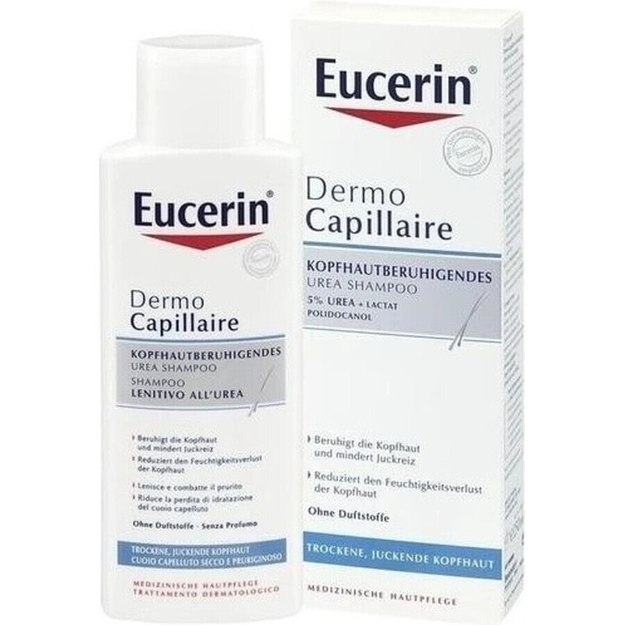 Eucerin DermoCapillaire 5% Urea Shampoo 1×250 ml für trockene Haut