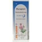 Mucoplant Soluție de plantain Noapte bună 1×100 ml, soluție de plantain