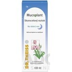 Mucoplant Soluție de plantain Noapte bună 1×100 ml, soluție de plantain