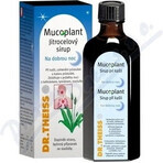 Mucoplant Soluție de plantain Noapte bună 1×100 ml, soluție de plantain