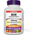 WEBBER NATURALS MSM 1000 mg BONUS 1×160 tbl, voedingssupplement