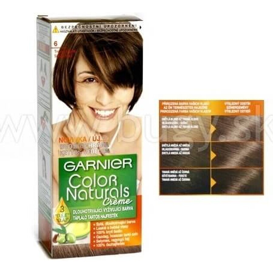 Garnier Color Naturals culoare permanentă a părului 6.00 Blond închis 1×1 bucată, culoarea părului