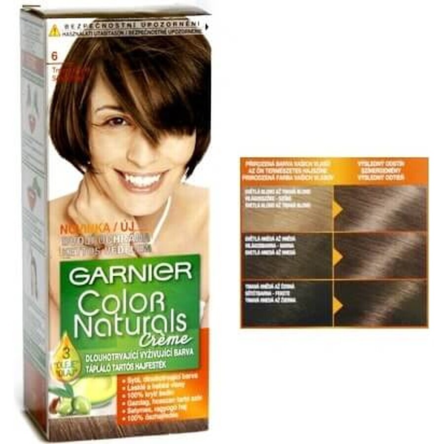 Garnier Color Naturals culoare permanentă a părului 6.00 Blond închis 1×1 bucată, culoarea părului