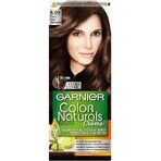 Garnier Color Naturals culoare permanentă a părului 6.00 Blond închis 1×1 bucată, culoarea părului