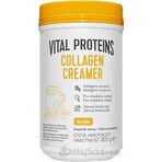 Vital Proteins Collagen Creamer Vanilla Collagene in polvere 305g 1×305g 1×305g, gusto caffè