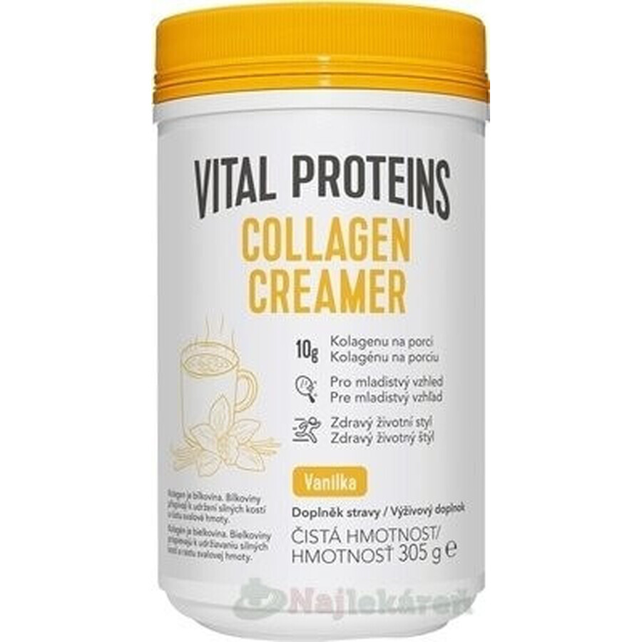 Vital Proteins Collagen Creamer Vanilla Collagene in polvere 305g 1×305g 1×305g, gusto caffè