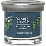 Yankee Candle Signature kleine Kerze Bayside Cedar 1×122 g Bayside Cedar 1×122 g, Duftkerze