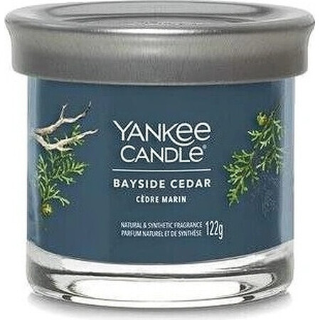 Yankee Candle Signature small candle Bayside Cedar 1×122 g Bayside Cedar 1×122 g, scented candle