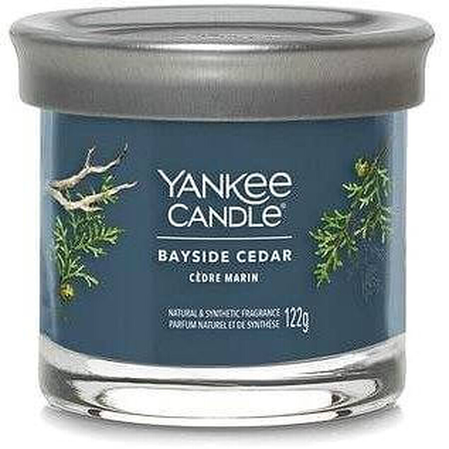 Yankee Candle Signature small candle Bayside Cedar 1×122 g Bayside Cedar 1×122 g, scented candle