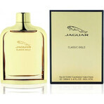 Jaguar Men Evolution Edt 100ml 1×100 ml, Eau de toilette