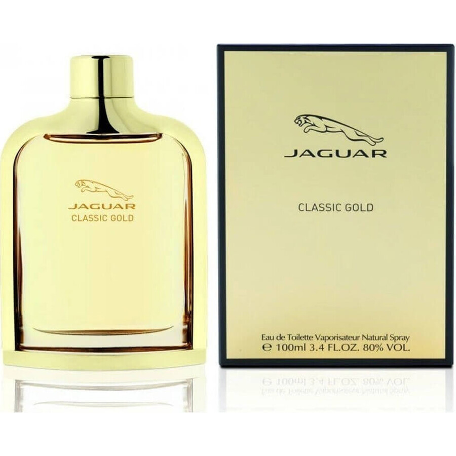 Jaguar Men Evolution Edt 100ml 1×100 ml, Eau de toilette