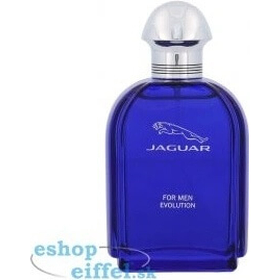 Jaguar Men Evolution Edt 100ml 1×100 ml, Eau de toilette