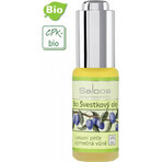 SALOOS Plum plantaardige olie 1×20 ml olie