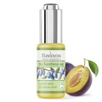 SALOOS Plum plantaardige olie 1×20 ml olie