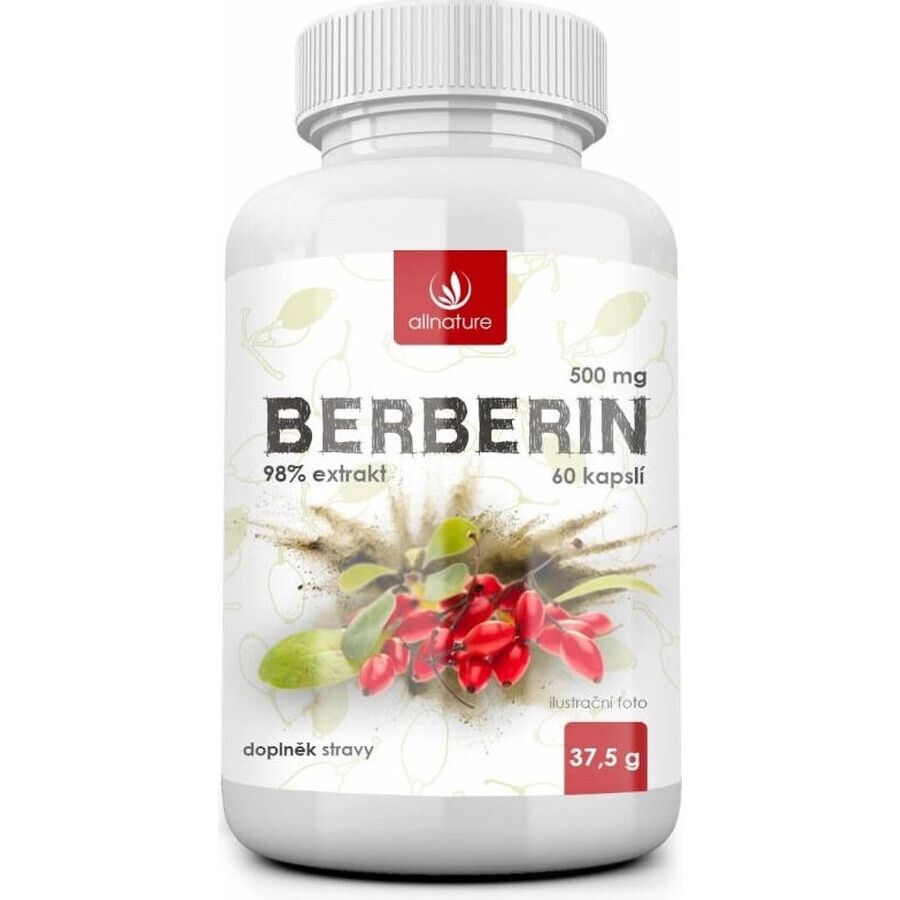 Allnature BERBERINE extract 98% 500 mg 1×60 cps, voedingssupplement