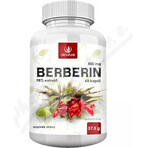 Allnature BERBERINE extract 98% 500 mg 1×60 cps, voedingssupplement