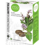 FYTOPHARMA pastile pe bază de plante cu vitamina C 1×30 buc, pastile pe bază de plante