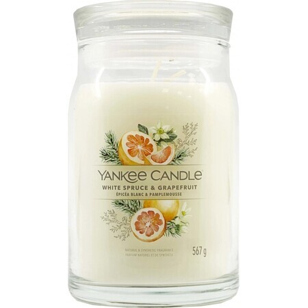 Yankee Candle Signature Large White Spruce & Grapefruit 1×567 g, candela profumata