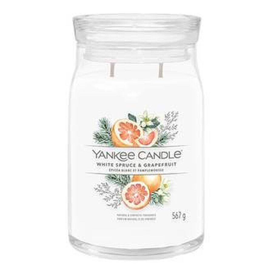 Yankee Candle Signature Large White Spruce & Grapefruit 1×567 g, candela profumata