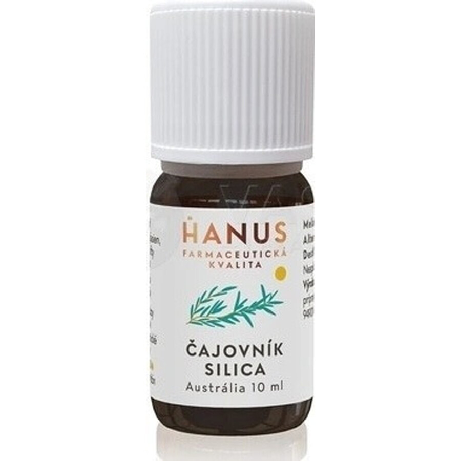 HANUS SILICA TEA TUB 1×10 ml, olie