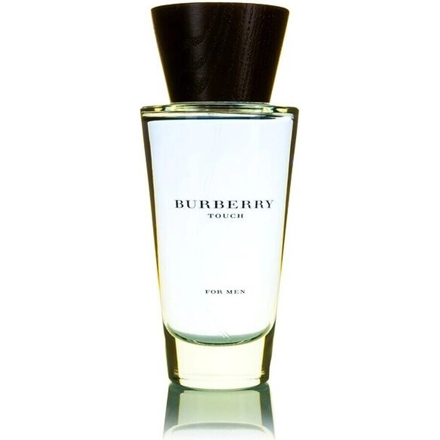 Burberry Touch Men Edt 100ml 1×100 ml, eau de toilette