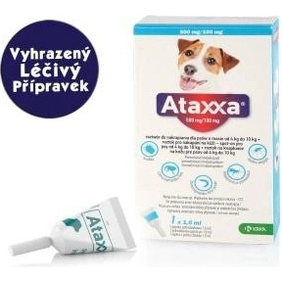 Ataxxa 500 mg/100 mg (Hunde von 4 kg bis 10 kg) 1×1 ml, Lösung für Hunde