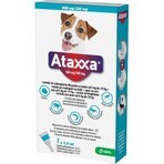 Ataxxa 500 mg/100 mg (Hunde von 4 kg bis 10 kg) 1×1 ml, Lösung für Hunde