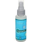 SALOOS Citroen Luchtgeurspray 1×50 ml spray