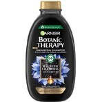 Garnier Botanic Therapy Shampooing nettoyant au charbon magnétique, 250 ml 1×250 ml, shampooing nettoyant