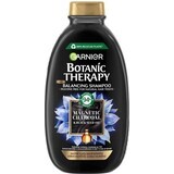 Garnier Botanic Therapy Magnetic Charcoal reinigende shampoo, 250 ml 1×250 ml, reinigende shampoo